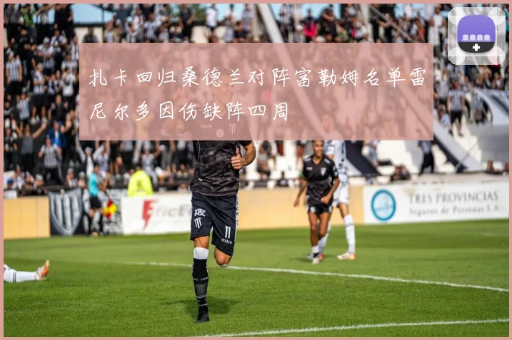 扎卡回归桑德兰对阵富勒姆名单雷尼尔多因伤缺阵四周