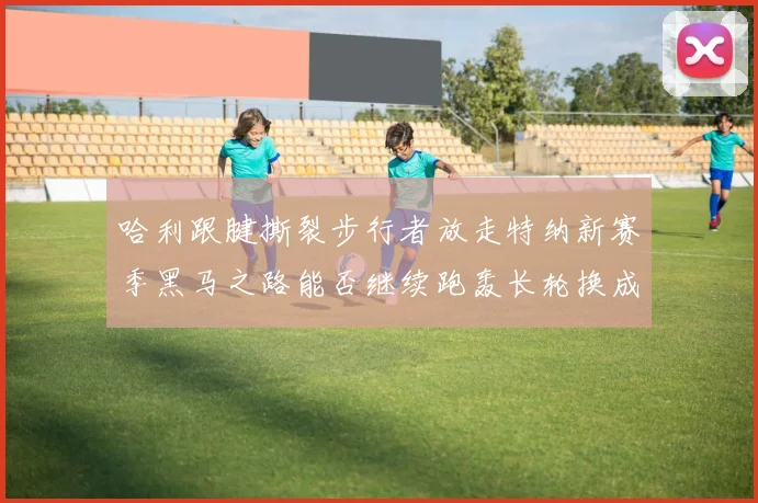 哈利跟腱撕裂步行者放走特纳新赛季黑马之路能否继续跑轰长轮换成关键