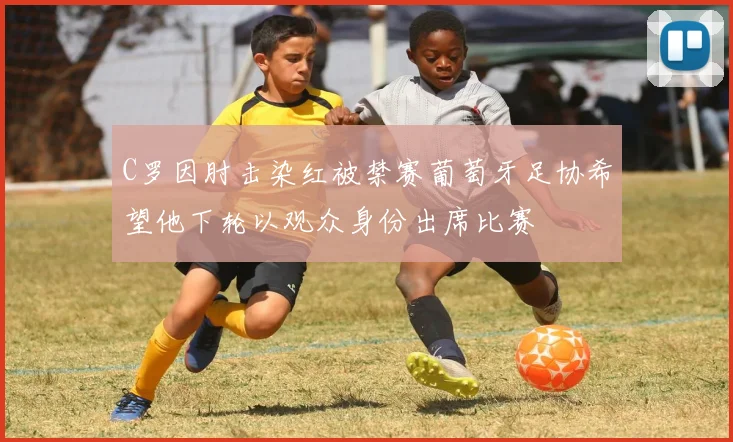 C罗因肘击染红被禁赛葡萄牙足协希望他下轮以观众身份出席比赛