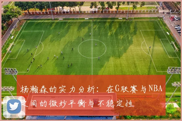 杨瀚森的实力分析：在G联赛与NBA之间的微妙平衡与不稳定性