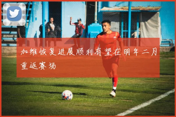 加维恢复进展顺利有望在明年二月重返赛场